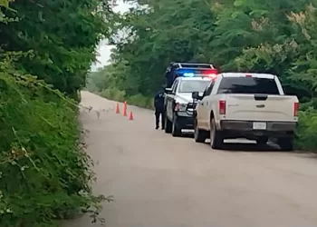Encuentran cuerpo sin vida en inmediaciones de comunidad maya de Felipe Carrillo Puerto
