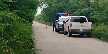 Encuentran cuerpo sin vida en inmediaciones de comunidad maya de Felipe Carrillo Puerto