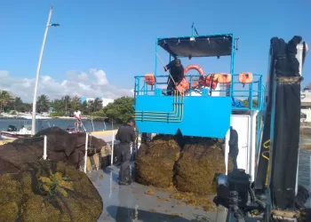 La Marina destinaría $50 millones para atender en el 2024 llegada de sargazo a Quintana Roo
