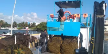 La Marina destinaría $50 millones para atender en el 2024 llegada de sargazo a Quintana Roo