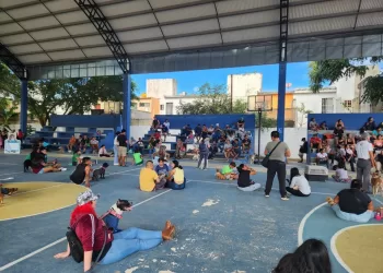Un éxito la campaña de esterilización de animales domésticos en Playa del Carmen