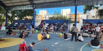 Un éxito la campaña de esterilización de animales domésticos en Playa del Carmen