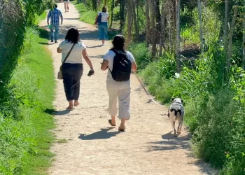 Playa del Carmen tendrá un cementerio exclusivo para mascotas