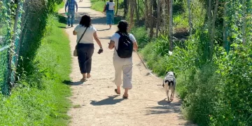 Playa del Carmen tendrá un cementerio exclusivo para mascotas