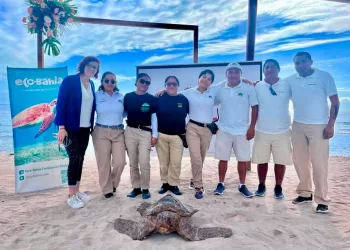 Eco-Bahía celebra la liberación de más de 191 mil crías de tortugas