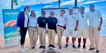 Eco-Bahía celebra la liberación de más de 191 mil crías de tortugas