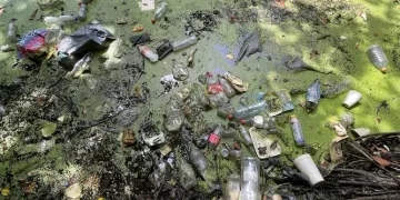 Contaminación alarmante en cenotes urbanos