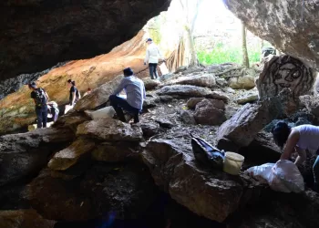 Fundación Eco-Bahía destaca logros de su programa de limpieza de playas y cenotes