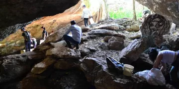 Fundación Eco-Bahía destaca logros de su programa de limpieza de playas y cenotes