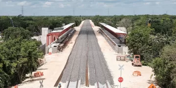 Buscan espacios en las estaciones del Tren Maya para ofrecer servicios y productos