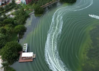 Construyen más palafitos en la Laguna Nichupté de Cancún