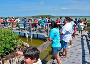 Estudiantes de Cozumel adquieren conocimientos sobre conservación de la naturaleza