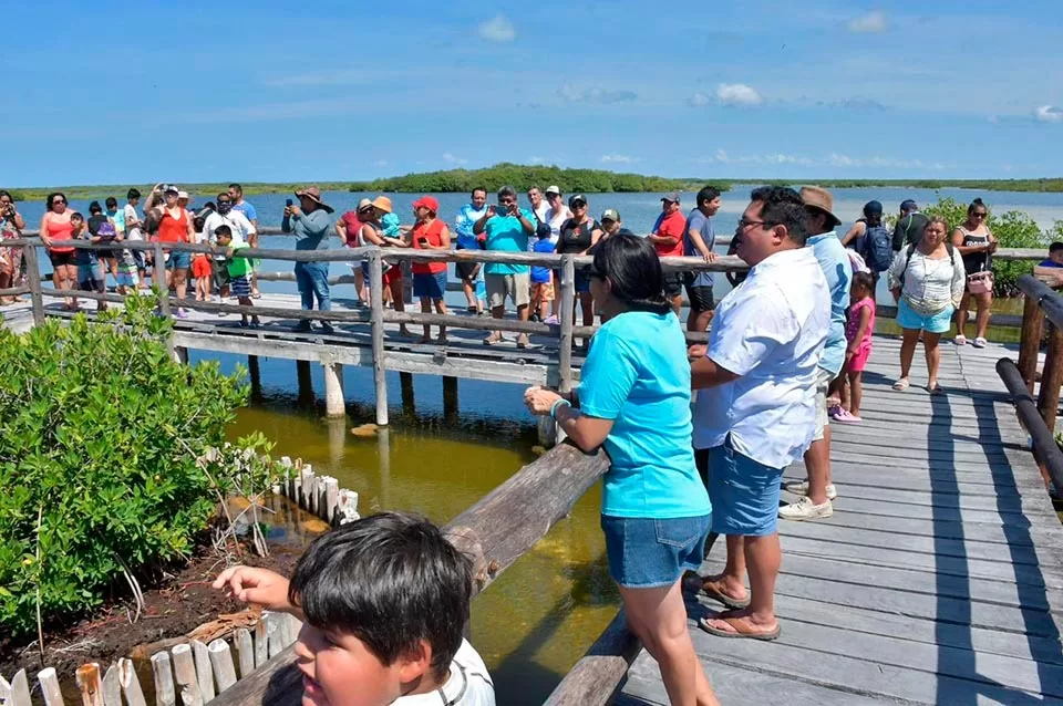 Estudiantes de Cozumel adquieren conocimientos sobre conservación de la naturaleza