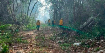Clave la prevención en Quintana Roo ante la temporada de incendios