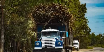 Revisión en la zona cañera de Quintana Roo para evitar que menores trabajen