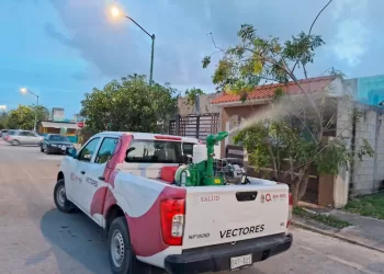 Intensifican las acciones para combatir el dengue en Quintana Roo