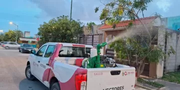Intensifican las acciones para combatir el dengue en Quintana Roo