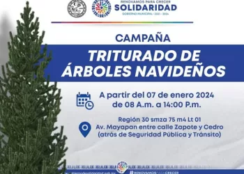 Invitan a participar en la campaña “Triturado de Árboles Navideños”