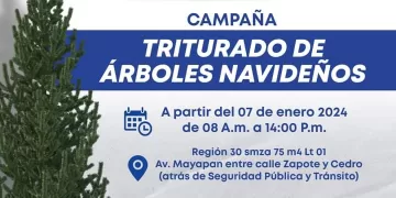 Invitan a participar en la campaña “Triturado de Árboles Navideños”