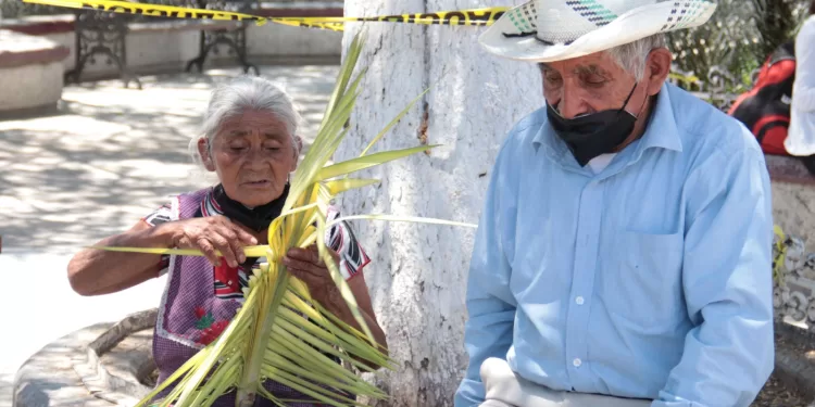 En marcha hacienda comunitaria de abuelitos en Leona Vicario