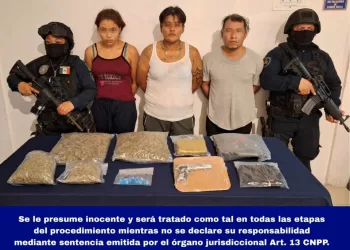 Decomisan 11 armas de fuego en la primera semana del año