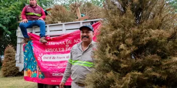 Habilitan 26 puntos en Cancún para el acopio de árboles de Navidad