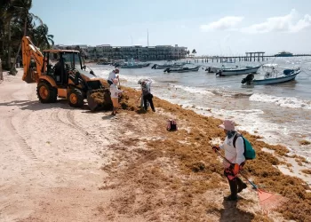 Sargazo y manejo de rellenos sanitarios, entre temas prioritarios para SEMA