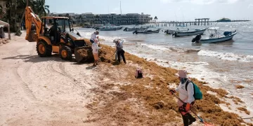 Sargazo y manejo de rellenos sanitarios, entre temas prioritarios para SEMA