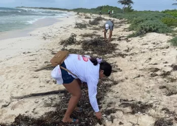 Retiran 95 kilos de desechos en la limpieza de playas en el Parque Ecoturístico Punta Sur