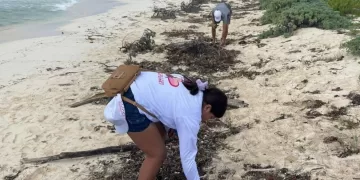 Retiran 95 kilos de desechos en la limpieza de playas en el Parque Ecoturístico Punta Sur
