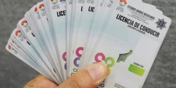 Imoveqroo con algunas complicaciones en inicio de expedición de licencias 
