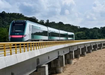 Confían empresarios en rentabilidad del Tren Maya 