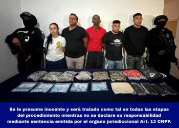 Marihuana y crack, las drogas que más aseguran las autoridades
