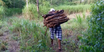Ganaderos de Lázaro Cárdenas exigen mantenimiento urgente de los caminos