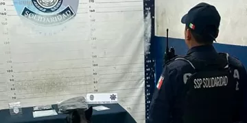 Oficial canino detecta drogas en la terminal de autobús de Playa del Carmen