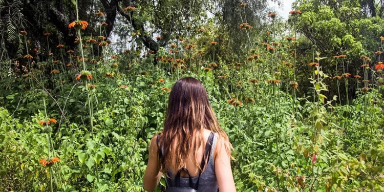 Vestigios arqueológicos en San Ángel, Lázaro Cárdenas dañados por crecimiento de maleza