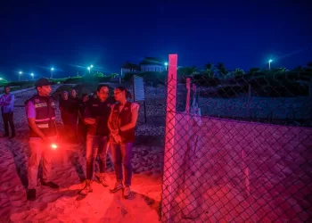 Liberan está temporada en Cancún poco más de un millón 205 mil crías de tortugas marinas