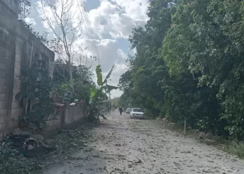 Abejas africanas atacan a un hombre en poblado del municipio de Lázaro Cárdenas