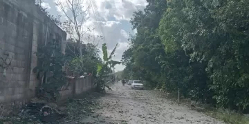 Abejas africanas atacan a un hombre en poblado del municipio de Lázaro Cárdenas