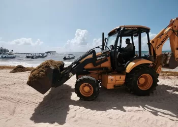 Habrá mayor recale de sargazo este año en el verano