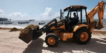 Habrá mayor recale de sargazo este año en el verano