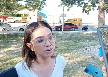 Ayuntamiento de Othón P. Blanco a cargo de terreno para alojar sargazo