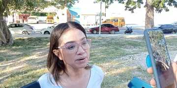 Ayuntamiento de Othón P. Blanco a cargo de terreno para alojar sargazo