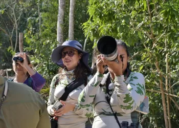 Grupo Amazilias efectúa recorrido de observación de aves en Cozumel