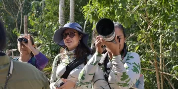 Grupo Amazilias efectúa recorrido de observación de aves en Cozumel