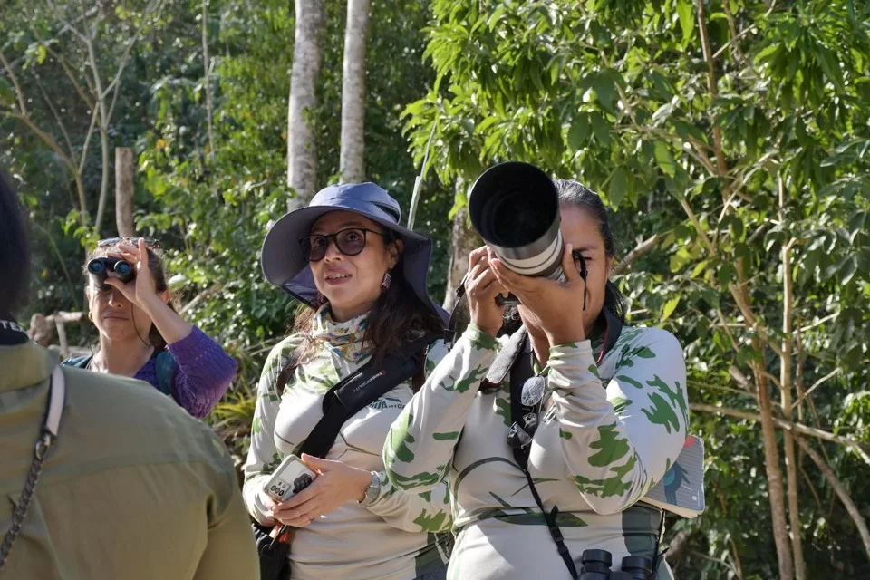 Grupo Amazilias efectúa recorrido de observación de aves en Cozumel