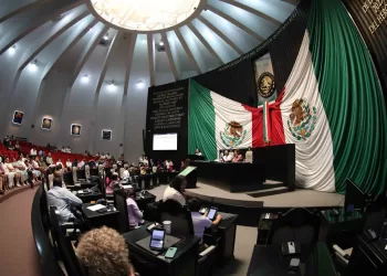 Movimiento Ciudadano se queda sin diputados en el Congreso de Quintana Roo