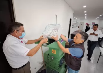 INE Quintana Roo destruye más de 700 credenciales para votar con fotografía
