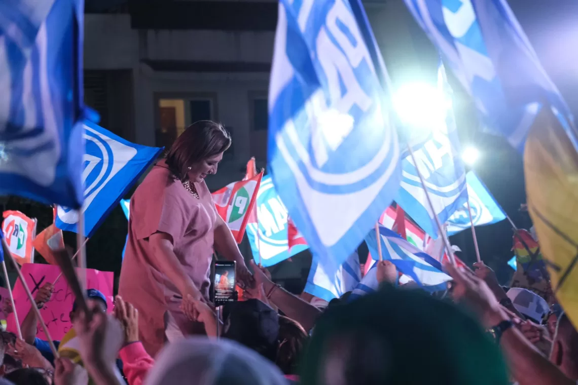 Proyecta Xóchitl Gálvez reforestar zonas afectadas por Tren Maya