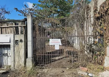 Intensificarán acciones preventivas en Tulum para evitar quemas urbanas o incendio de pastizales